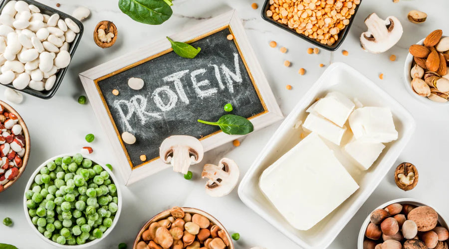 Protein Requirements through Ages: Adolescents, Adults, and the Elderly