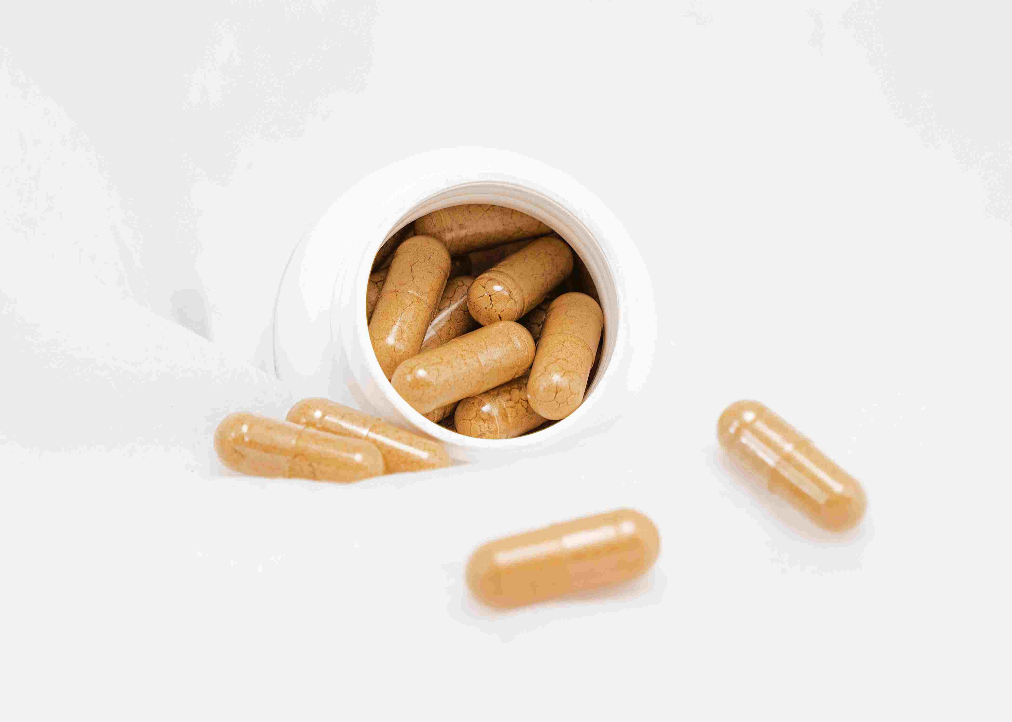 Innumerable Advantages of Creatine Monohydrate and Amino Acid Supplements
