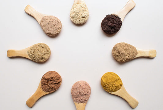 A Comprehensive Guide to Choosing the Best Protein Powder