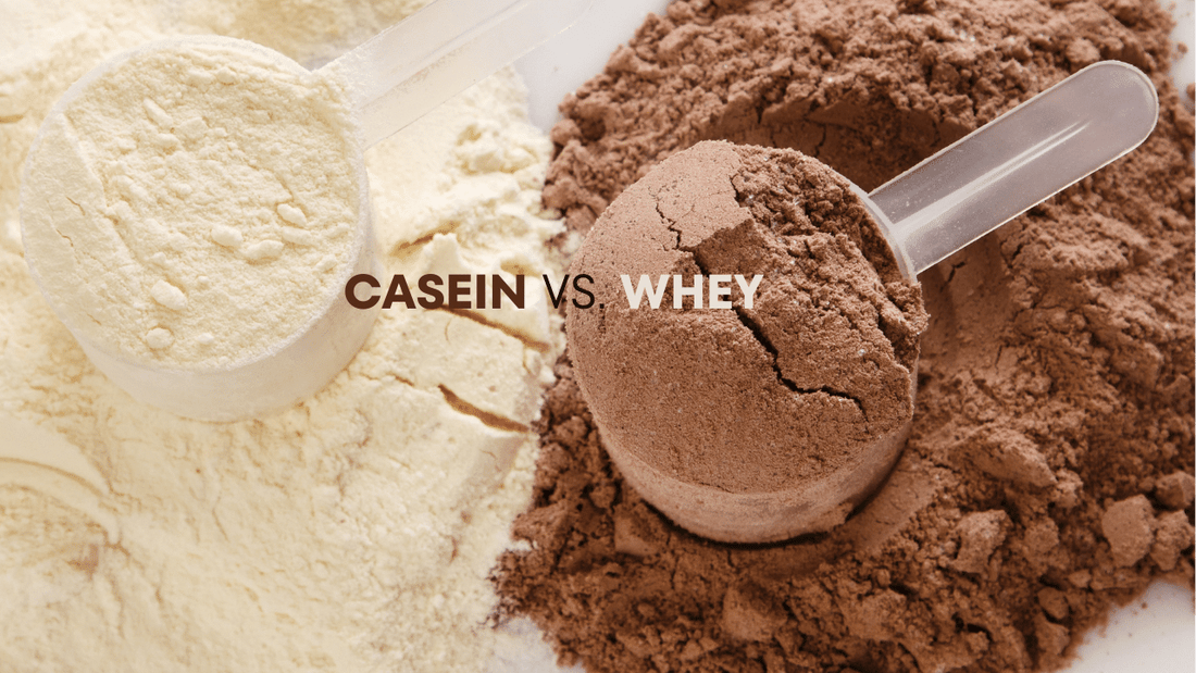 casein vs Whey protein 