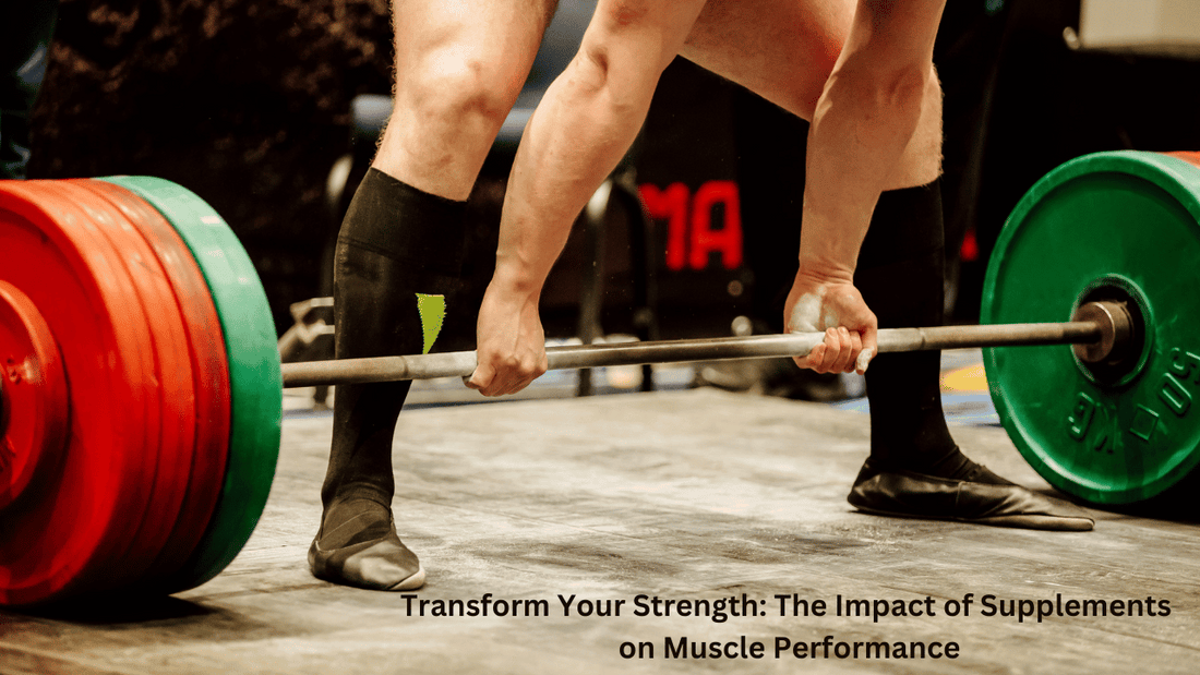 Muscle gainers - Divine Nutrition 