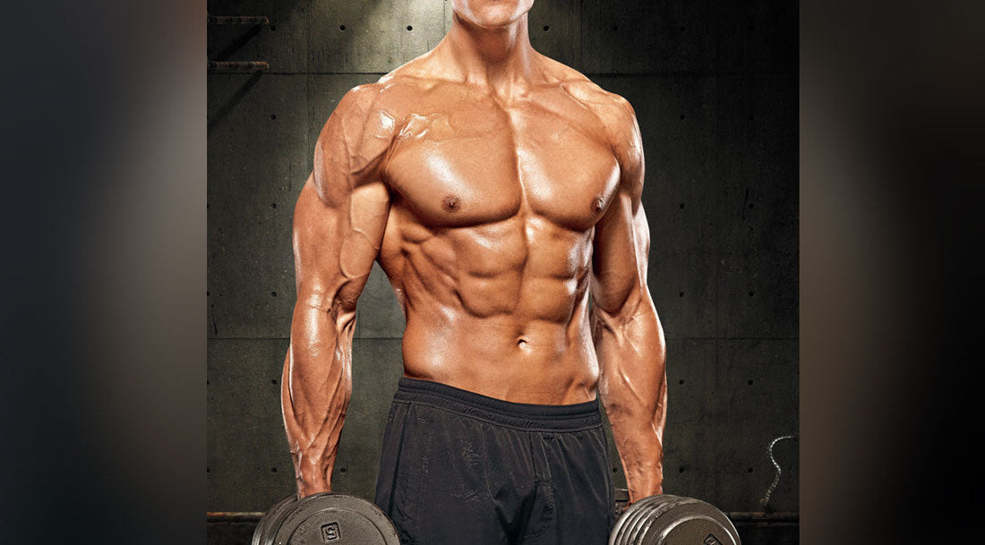 Gaining Lean Muscle Mass with Divine Nutrition's ICON Isolate