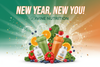 Divine Nutrition – New Year Resolution Campaign Plan
