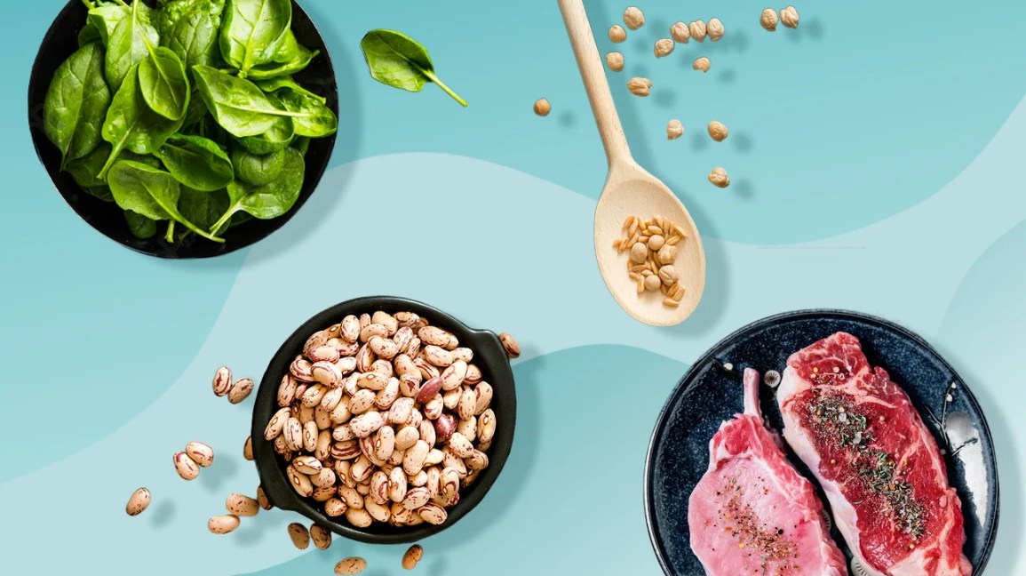 Plant Protein vs. Whey Protein vs. Animal Protein: The Ultimate Guide on Different Types of Proteins