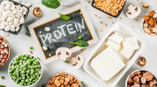 Protein Requirements through Ages: Adolescents, Adults, and the Elderly