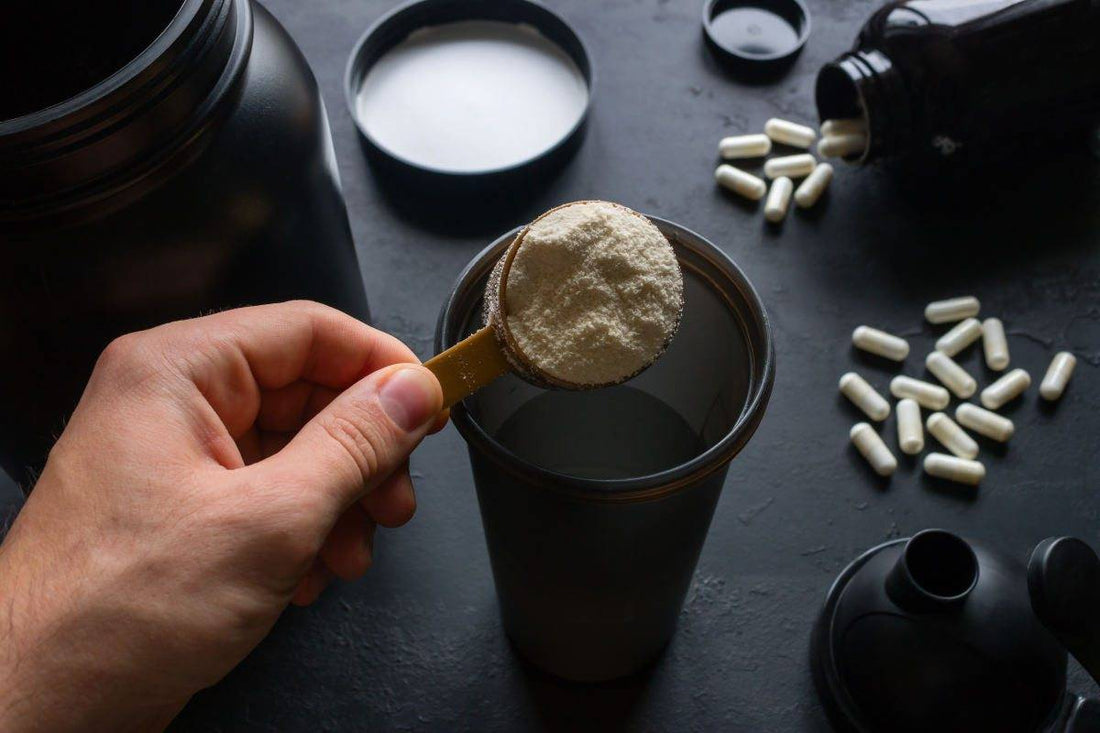 Whey Protein and Immune Health: What You Need to Know