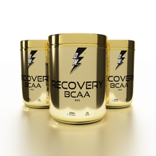 Load image into Gallery viewer, Recovery BCAA (Branch Chain Amino Acids) Gold Series 250 gm Orange Flavour - Divine Nutrition

